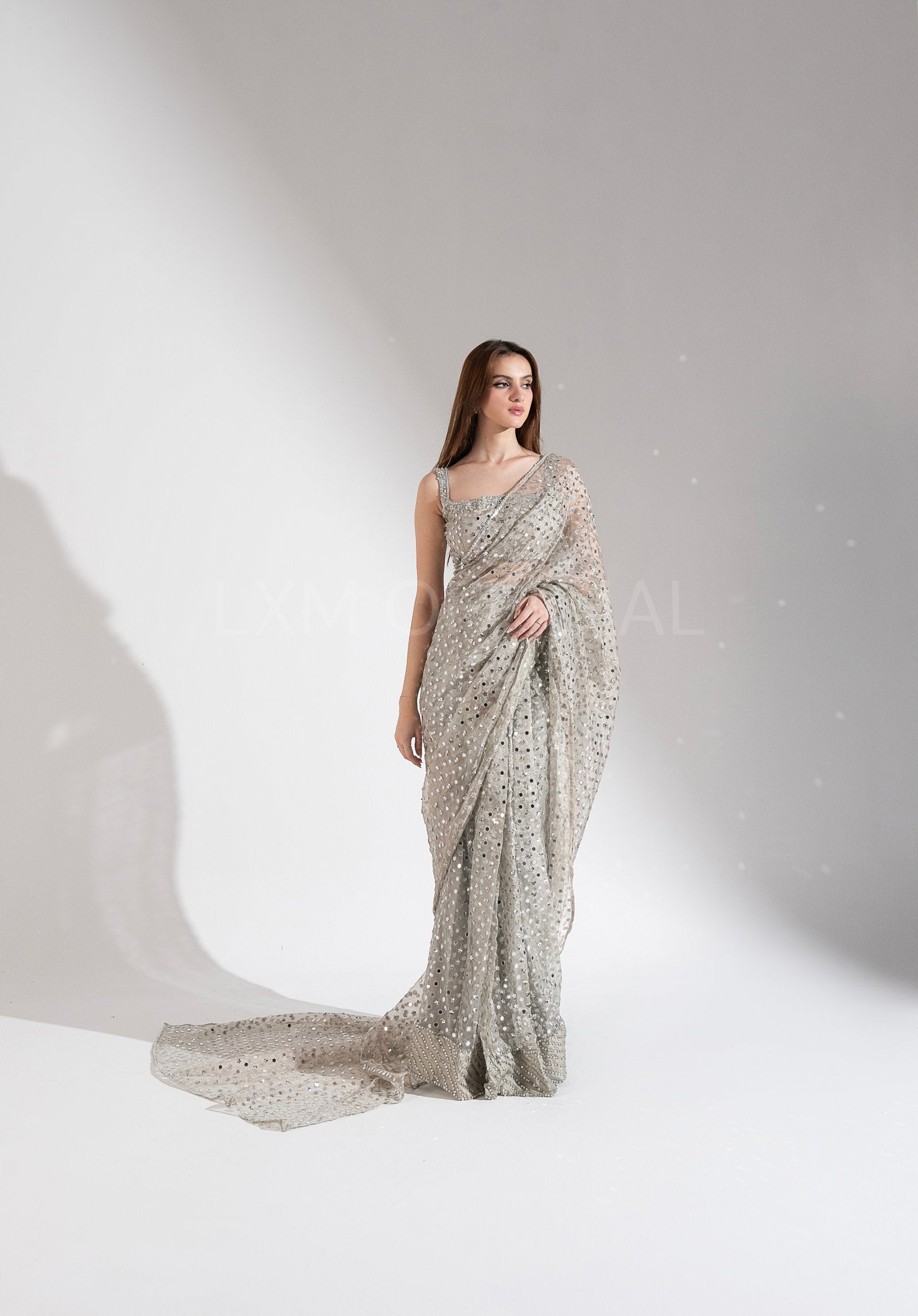 Pure Silver Tissue Saaree