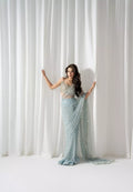 Sky Blue Sari